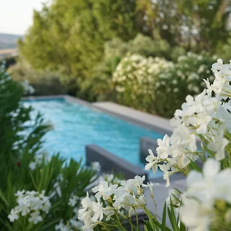 El Toro Blanco Luxury In Andalucia