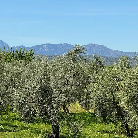 El Toro Blanco Luxury In Andalucia Βίλα *